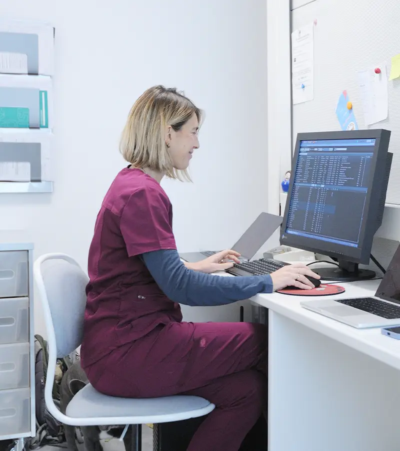 polo neurologico veterinario clinica i ronchi