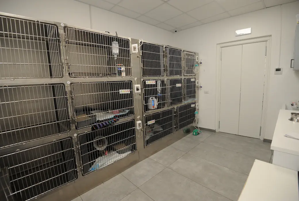 degenza veterinaria clinica i ronchi