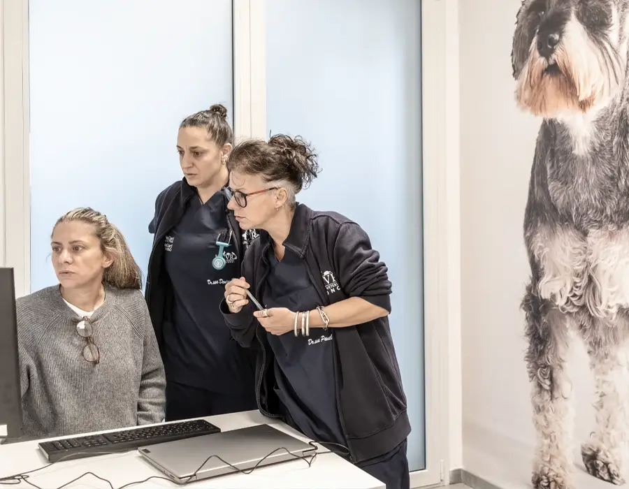 veterinari Gallarate centro veterinario i ronchi